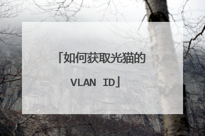 如何获取光猫的VLAN ID