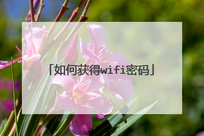 如何获得wifi密码
