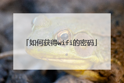 如何获得wifi的密码