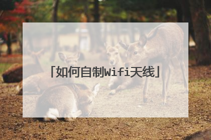 如何自制Wifi天线