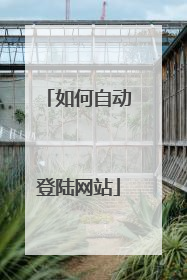 如何自动登陆网站