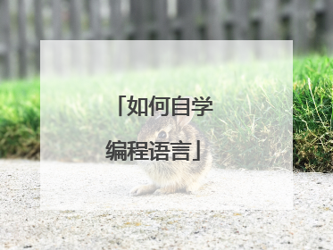 如何自学编程语言