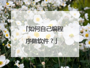 如何自己编程序做软件?