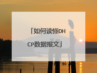 如何读懂DHCP数据报文