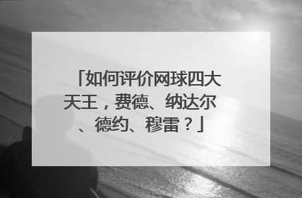 如何评价网球四大天王,费德、纳达尔、德约、穆雷?
