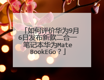 如何评价华为9月6日发布新款二合一笔记本华为MateBookEGo？