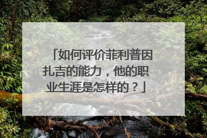 如何评价菲利普因扎吉的能力，他的职业生涯是怎样的？