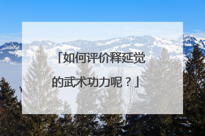 如何评价释延觉的武术功力呢?