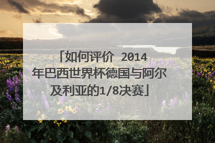 如何评价 2014 年巴西世界杯德国与阿尔及利亚的1/8决赛