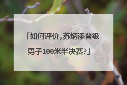 如何评价,苏炳添晋级男子100米半决赛?