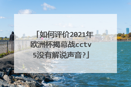 如何评价2021年欧洲杯揭幕战cctv5没有解说声音?