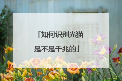 如何识别光猫是不是千兆的