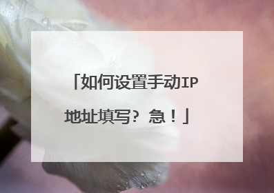 如何设置手动IP地址填写? 急！