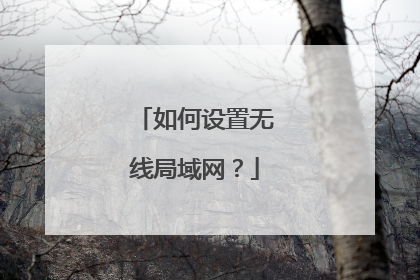 如何设置无线局域网？