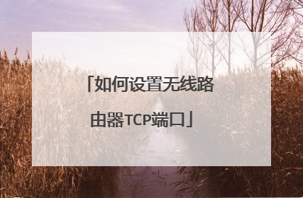 如何设置无线路由器TCP端口