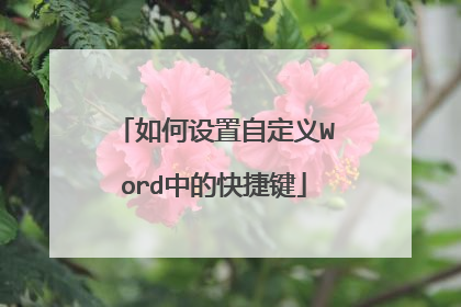 如何设置自定义Word中的快捷键