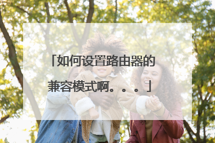 如何设置路由器的 兼容模式啊。。。