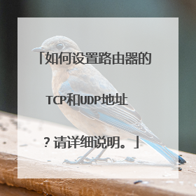 如何设置路由器的TCP和UDP地址？请详细说明。