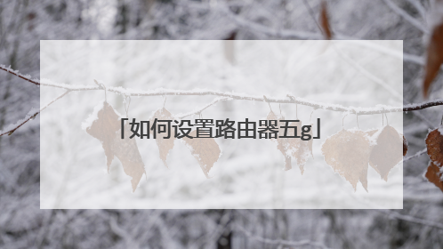 如何设置路由器五g