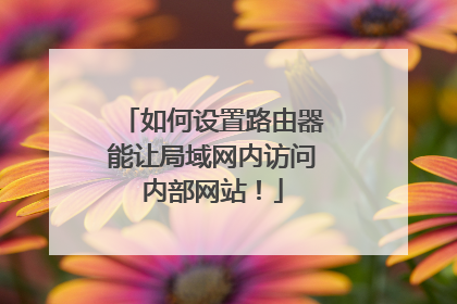 如何设置路由器能让局域网内访问内部网站！
