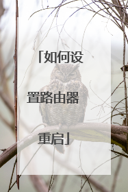 如何设置路由器重启