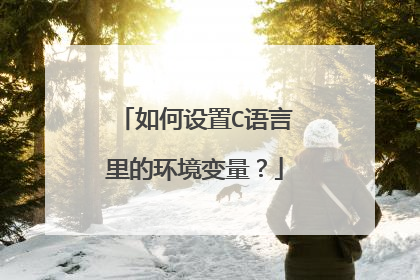 如何设置C语言里的环境变量？