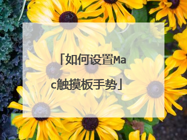 如何设置Mac触摸板手势