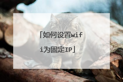 如何设置wifi为固定IP