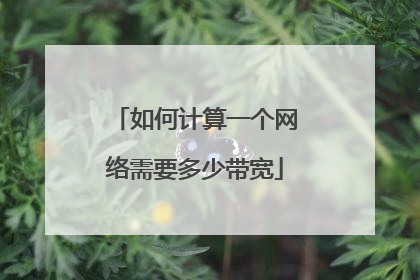 如何计算一个网络需要多少带宽