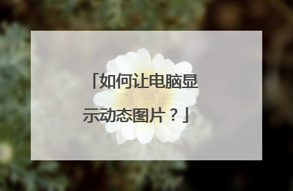如何让电脑显示动态图片?