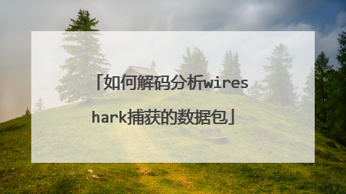 如何解码分析wireshark捕获的数据包