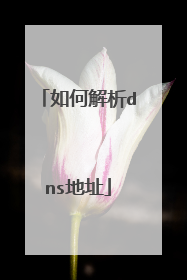 如何解析dns地址