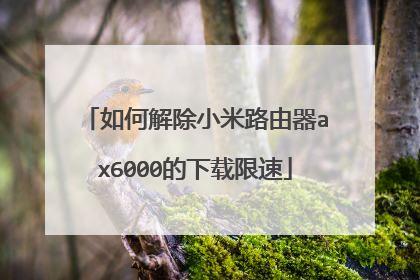 如何解除小米路由器ax6000的下载限速