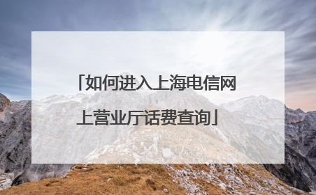 如何进入上海电信网上营业厅话费查询