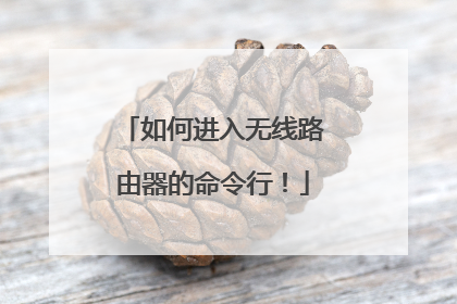 如何进入无线路由器的命令行!
