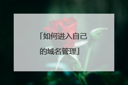 如何进入自己的域名管理