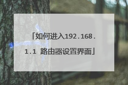 如何进入192.168.1.1 路由器设置界面