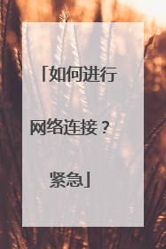 如何进行网络连接?紧急