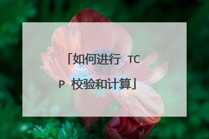 如何进行 TCP 校验和计算