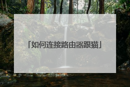 如何连接路由器跟猫