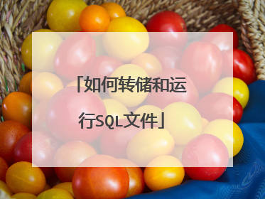 如何转储和运行SQL文件