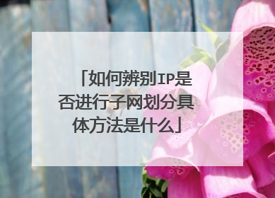 如何辨别IP是否进行子网划分具体方法是什么