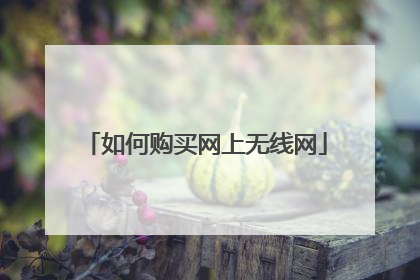 如何购买网上无线网