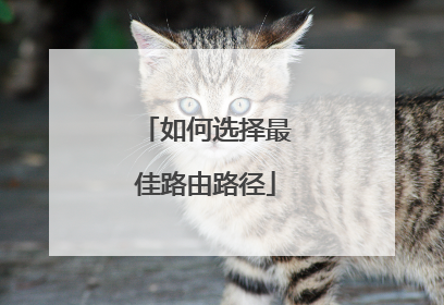 如何选择最佳路由路径