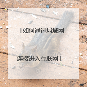 如何通过局域网连接进入互联网