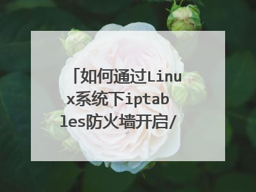如何通过Linux系统下iptables防火墙开启/关闭指定端口方法
