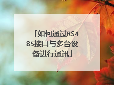如何通过RS485接口与多台设备进行通讯