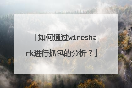 如何通过wireshark进行抓包的分析？