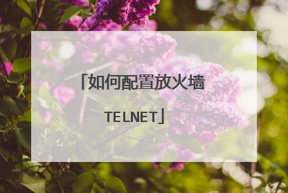 如何配置放火墙TELNET