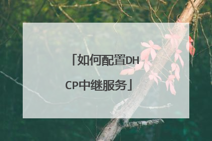如何配置DHCP中继服务